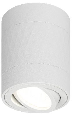 Светильник настенно-потолочный спот ЭРА OL33 WH MR16 GU10 IP20 белый