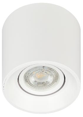 Светильник настенно-потолочный спот ЭРА OL25-1 WH MR16/GU5.3, белый, поворотный