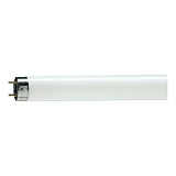 Лампа люминесцентная Philips TL-D T8 36Вт 33-640 G13 нейтральный белый свет