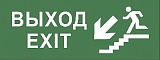 Самоклеящаяся этикетка ЭРА INFO-SSA-109 350х130мм "Выход/лестница вниз/фигура" SSA-101