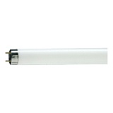 Лампа люминесцентная Philips TL-D 18 Вт 54-765 G13 дневной свет