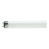Лампа люминесцентная Philips TL-D 36Вт 54-765 G13 холодный дневной свет