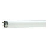 Лампа люминесцентная Philips TL-D 18Вт 33-640 G13 белый свет
