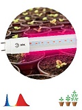 Фитолампа для растений светодиодная ЭРА FITO-18W-RB-Т8-G13-NL и мясных прилавков 18 Вт Т8 G13 красно-синего спектра