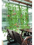 GLSCL-1 GREEN APPLE Комплект для вьющихся растений сборный 0,6*1,8м (18/162)