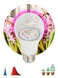 Фитолампа для растений светодиодная ЭРА FITO-10W-RB-E27-K красно-синего спектра 10 Вт Е27