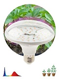 Фитолампа для растений светодиодная ЭРА FITO-18W-RB-E27 красно-синего спектра 18 ВТ Е27